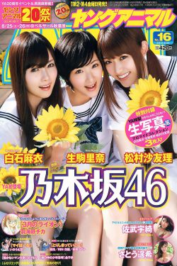 电视剧花木兰传奇全集